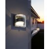Lutec DELTA Aplique para exterior LED Antracita, 1 luz