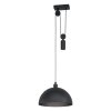 Eglo WINKWORTH Lámpara Colgante Negro, 1 luz