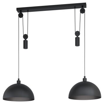 Eglo WINKWORTH Lámpara Colgante Negro, 2 luces