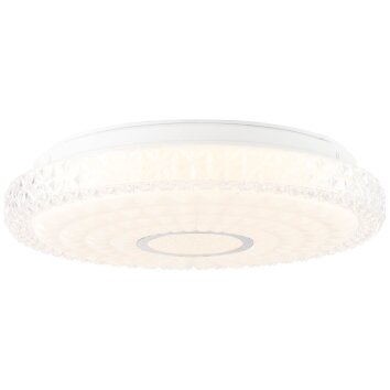 Brilliant ADRIA Lámpara de Techo LED Cromo, Blanca, 2 luces