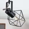 Maracambo Lámpara de Techo Madera oscura, Negro, 1 luz