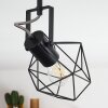 Maracambo Lámpara de Techo Madera oscura, Negro, 2 luces