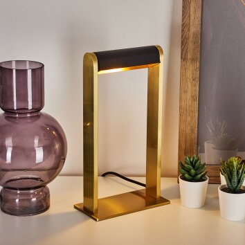 Denhigh Lámpara de mesa LED dorado, Latón, Negro, 1 luz