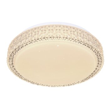 Globo OVI Lámpara de Techo LED Blanca, 1 luz