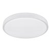 Globo OVI Lámpara de Techo LED Blanca, 1 luz