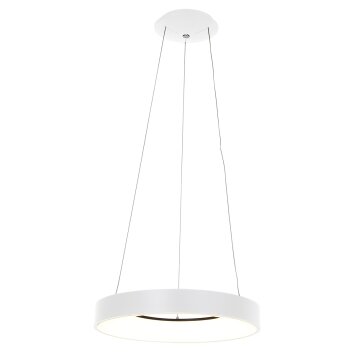 Steinhauer Ringlede Lámpara Colgante Blanca, 1 luz