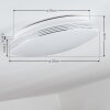 Niebla Lámpara de Techo LED Blanca, 1 luz