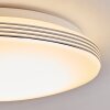 Niebla Lámpara de Techo LED Blanca, 1 luz