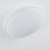 Niebla Lámpara de Techo LED Blanca, 1 luz