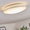Niebla Lámpara de Techo LED Blanca, 1 luz