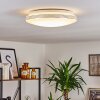 Niebla Lámpara de Techo LED Blanca, 1 luz