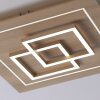 Paul Neuhaus Q-LINEA Lámpara de Techo LED Madera clara, 4 luces, Mando a distancia