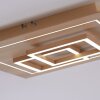 Paul Neuhaus Q-LINEA Lámpara de Techo LED Madera clara, 4 luces, Mando a distancia