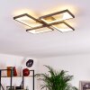 Haya Lámpara de Techo LED Negro, 4 luces