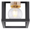 Globo HAGAR Lámpara de Techo Negro, 1 luz
