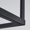 Turiza Lámpara de Techo Madera oscura, Negro, 1 luz