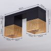 Armenie Lámpara de Techo dorado, Latón, Negro, 2 luces
