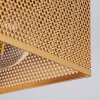 Armenie Lámpara de Techo dorado, Latón, Negro, 2 luces
