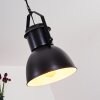 Fieberbrunn Lámpara Colgante Negro, 1 luz