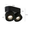 Steinhauer Fez Lámpara de Techo LED Negro, 2 luces Steinhauer Fez Lámpara de Techo LED Negro, 2 luces