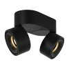 Steinhauer Fez Lámpara de Techo LED Negro, 2 luces Steinhauer Fez Lámpara de Techo LED Negro, 2 luces