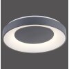 Leuchten-Direkt ANIKA Lámpara de Techo LED Antracita, 1 luz, Mando a distancia