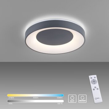 Leuchten-Direkt ANIKA Lámpara de Techo LED Antracita, 1 luz, Mando a distancia