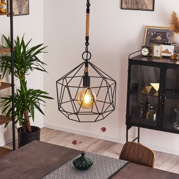 Favorita Lámpara Colgante Negro, 1 luz Favorita Lámpara Colgante Negro, 1 luz
