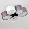 Payette Lámpara de Techo Marrón, Gris, Negro, Blanca, 6 luces
