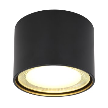 Globo SERENA Lámpara de Techo LED Negro, 1 luz