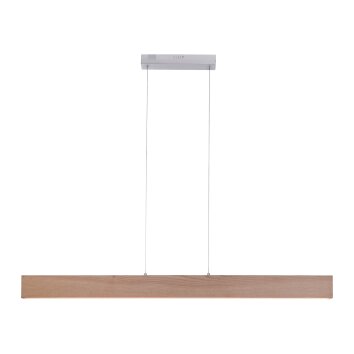 Paul Neuhaus Q-TIMBER Lámpara Colgante LED Madera clara, 1 luz, Mando a distancia