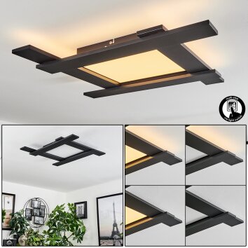 Cuchara Lámpara de Techo LED Negro, 5 luces