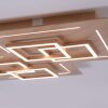 Paul Neuhaus Q-LINEA Lámpara de Techo LED Madera clara, 8 luces, Mando a distancia