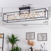 Pericos Lámpara de Techo LED dorado, Negro, 4 luces
