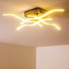 Mapleton Lámpara de techo LED Níquel-mate, 4 luces