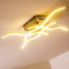 Mapleton Lámpara de techo LED Níquel-mate, 4 luces
