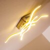 Mapleton Lámpara de techo LED Níquel-mate, 4 luces
