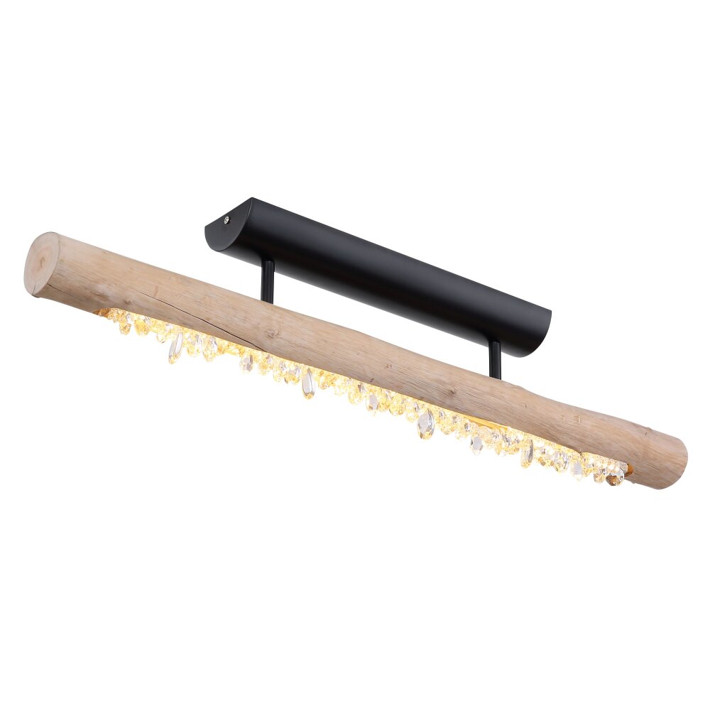 Globo FELICITAS Lámpara de Techo Negro, 1 luz main product photo