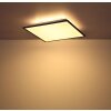 Globo DORO Lámpara de Techo LED Blanca, 1 luz