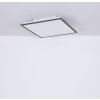 Globo DORO Lámpara de Techo LED Blanca, 1 luz
