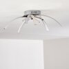 Wikon Lámpara de Techo LED Níquel-mate, 5 luces