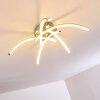 Wikon Lámpara de Techo LED Níquel-mate, 5 luces