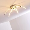 Wikon Lámpara de Techo LED Níquel-mate, 5 luces