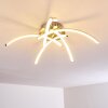 Wikon Lámpara de Techo LED Níquel-mate, 5 luces