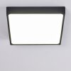 Kragos Lámpara de Techo LED Negro, Blanca, 1 luz