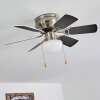 Trillo Ventilador de techo Gris, Níquel-mate, Blanca, 1 luz