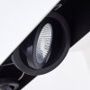 Bacoor Lámpara Colgante LED Negro, Blanca, 5 luces