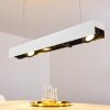 Bacoor Lámpara Colgante LED Negro, Blanca, 5 luces