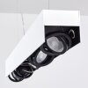 Bacoor Lámpara Colgante LED Negro, Blanca, 5 luces