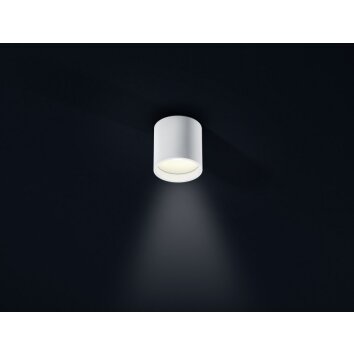 Helestra DORA 1 Lámpara de techo LED Blanca, 1 luz